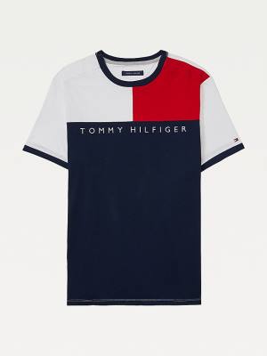 Tommy Hilfiger Adaptive Flag Pure Katoenen T-shirts Heren Multi | TH163UZD