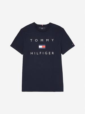 Tommy Hilfiger Adaptive Pure Katoenen Logo T-shirts Heren Blauw | TH527QJT