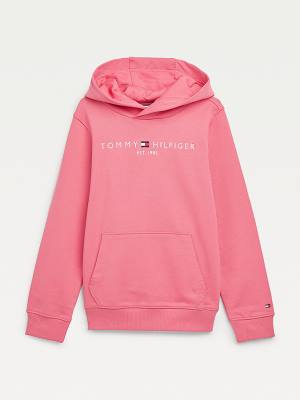 Tommy Hilfiger Essential Logo Hoodie Jongens Rood | TH568ZFJ