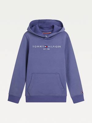 Tommy Hilfiger Essential Logo Hoodie Jongens Blauw | TH734GUC