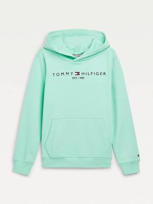 Tommy Hilfiger Essential Logo Hoodie Meisjes Groen | TH329DLM