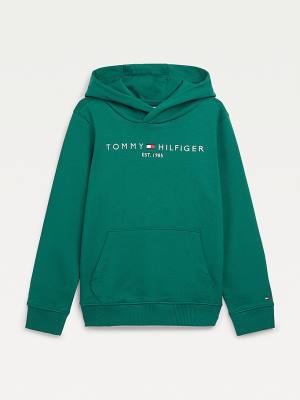 Tommy Hilfiger Essential Logo Hoodie Meisjes Groen | TH853FPW