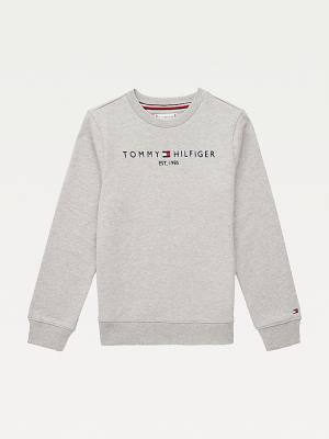 Tommy Hilfiger Essential Logo Sweatshirts Meisjes Grijs | TH210YED