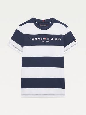 Tommy Hilfiger Essential Organic Katoenen Stripe T-shirts Jongens Blauw | TH835NXT