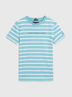 Tommy Hilfiger Essential Stripe T-shirts Jongens Blauw | TH315HXV