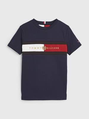 Tommy Hilfiger Icons Organic Katoenen Logo T-shirts Jongens Blauw | TH968RFH