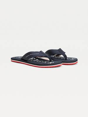 Tommy Hilfiger Logo Flip-Flops Sandalen Heren Blauw | TH264AYG