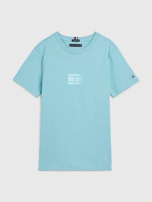 Tommy Hilfiger Logo T-shirts Jongens Blauw | TH463RFB