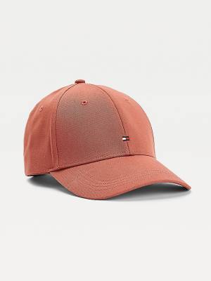 Tommy Hilfiger Organic Katoenen Flag Embroidery Cap Hoeden Heren Bruin | TH864LVX