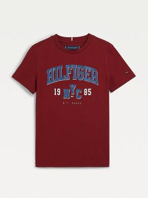 Tommy Hilfiger Organic Katoenen Varsity Print T-shirts Jongens Rood | TH948QHC