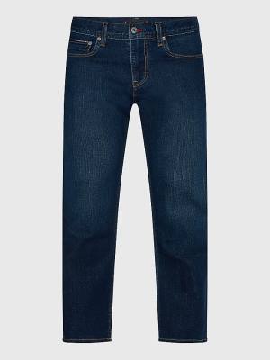 Tommy Hilfiger Plus Madison Straight Jeans Heren Denim | TH605NKV