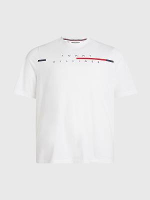 Tommy Hilfiger Plus Signature Split Logo T-shirts Heren Wit | TH920OYZ