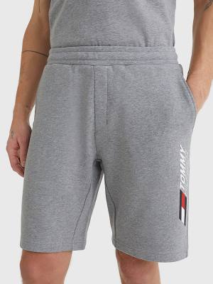 Tommy Hilfiger Sport Essential TH Cool Sweat Korte Broek Heren Grijs | TH968CPW