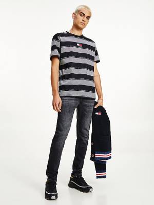 Tommy Hilfiger Stripe Badge Relaxed Fit T-shirts Heren Zwart | TH846VRD