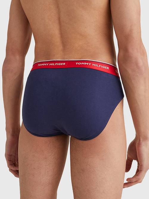 Tommy Hilfiger 3-Pack Katoenen Briefs Ondergoed Heren Blauw | TH704ONC