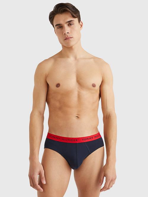 Tommy Hilfiger 3-Pack Logo Waistband Briefs Ondergoed Heren Paars | TH835YVC