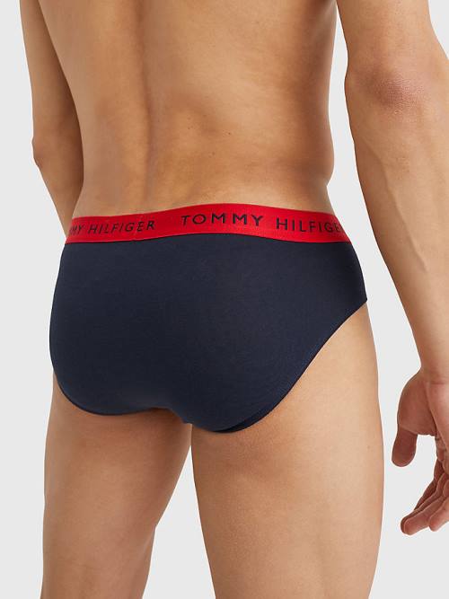 Tommy Hilfiger 3-Pack Logo Waistband Briefs Ondergoed Heren Paars | TH835YVC