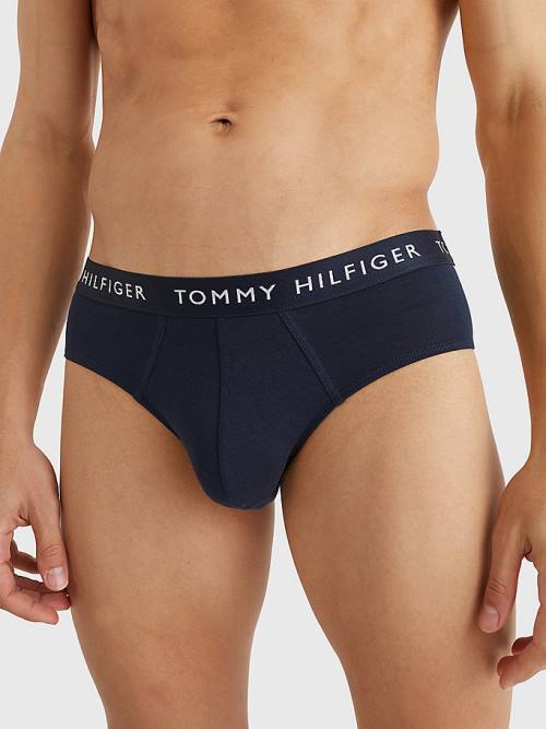 Tommy Hilfiger 3-Pack Logo Waistband Briefs Ondergoed Heren Paars | TH835YVC