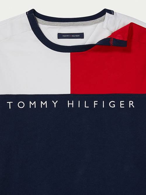 Tommy Hilfiger Adaptive Flag Pure Katoenen T-shirts Heren Multi | TH163UZD