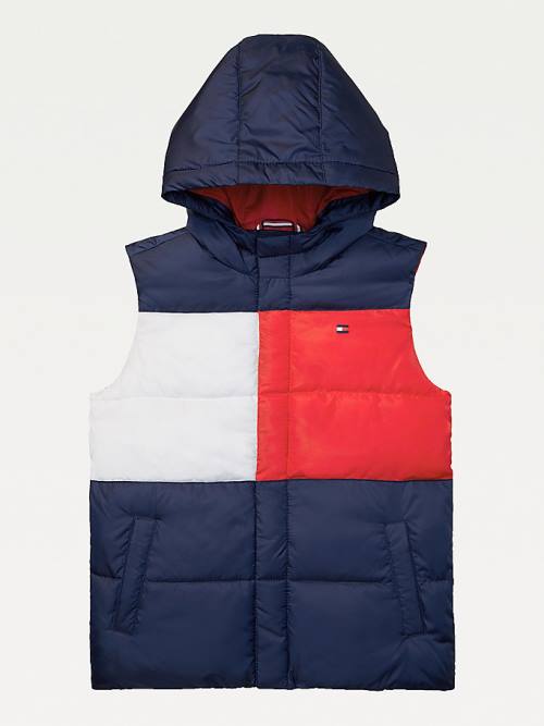 Tommy Hilfiger Adaptive Met Capuchon Flag Vest Jassen Jongens Blauw | TH765NRP