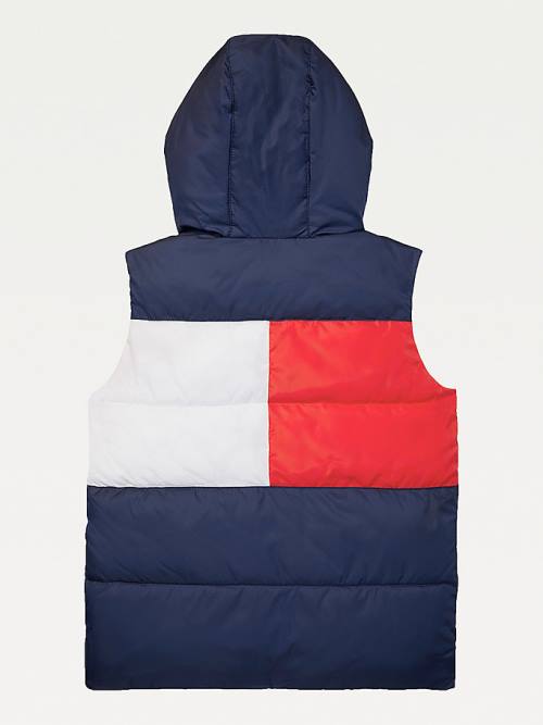 Tommy Hilfiger Adaptive Met Capuchon Flag Vest Jassen Jongens Blauw | TH765NRP