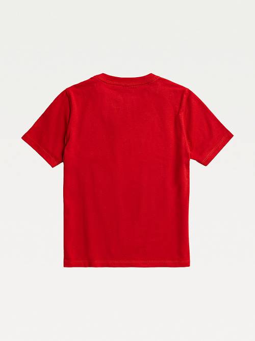 Tommy Hilfiger Adaptive Pure Katoenen T-shirts Jongens Rood | TH856RXM