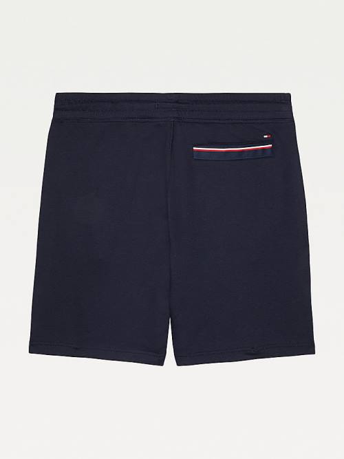 Tommy Hilfiger Adaptive Regular Fit Korte Broek Heren Blauw | TH320VSI