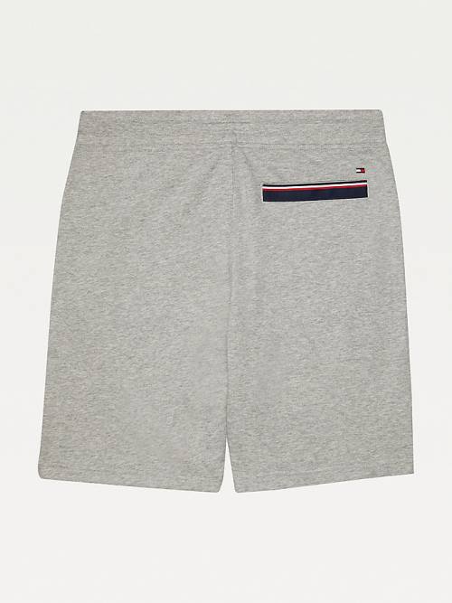 Tommy Hilfiger Adaptive Regular Fit Korte Broek Heren Grijs | TH756SIO