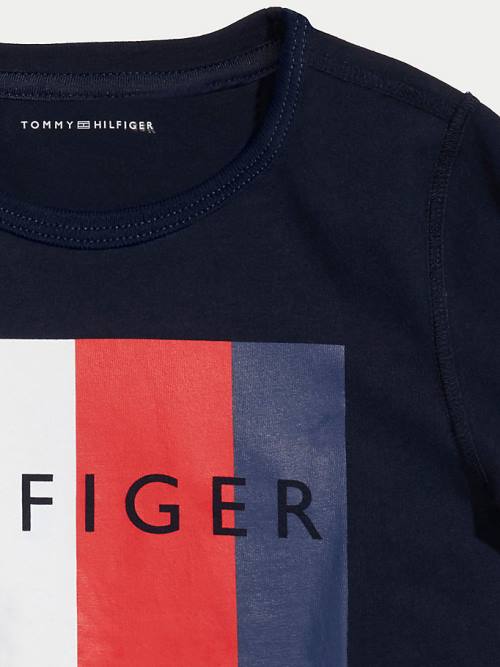 Tommy Hilfiger Adaptive Sensory Flag Logo T-shirts Jongens Blauw | TH625DFO