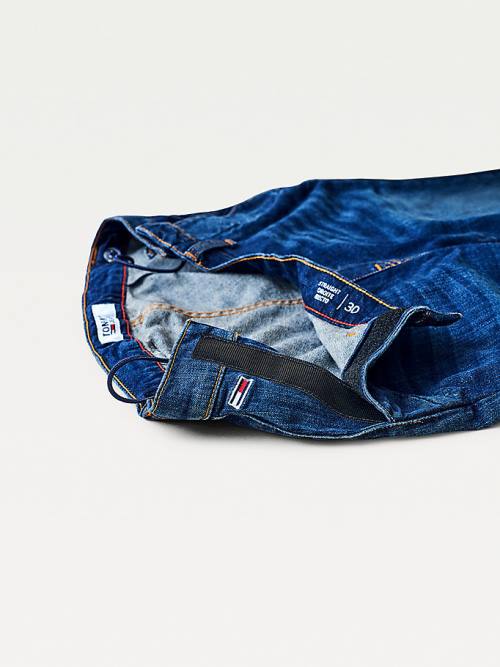 Tommy Hilfiger Adaptive Straight Jeans Heren Blauw | TH921SEP