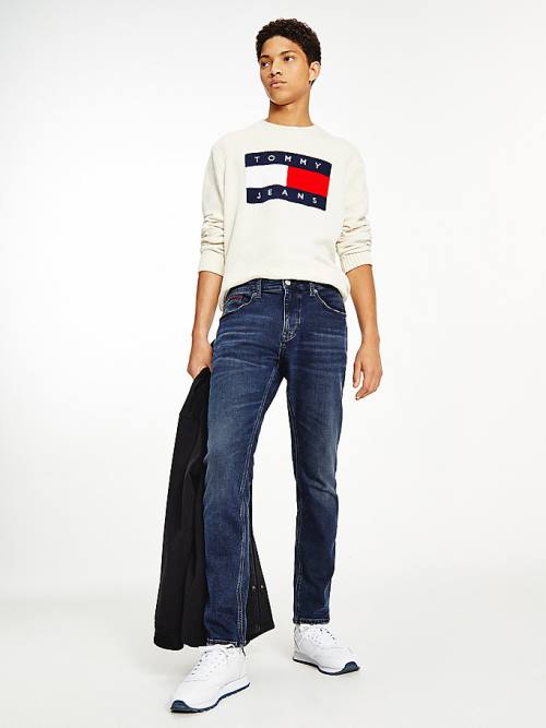 Tommy Hilfiger Austin Slim Tapered Jeans Heren Denim | TH946TXN