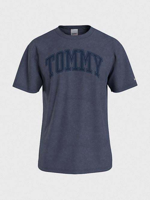 Tommy Hilfiger College Varsity Logo T-shirts Heren Blauw | TH829FLG