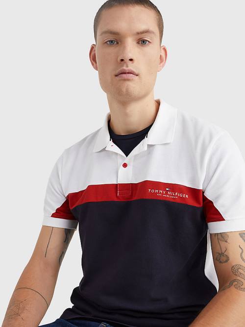 Tommy Hilfiger Colour-Blocked Regular Fit Poloshirt Heren Blauw | TH851GSQ