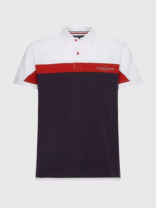 Tommy Hilfiger Colour-Blocked Regular Fit Poloshirt Heren Blauw | TH851GSQ