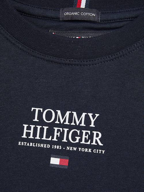 Tommy Hilfiger Contrast Tape Long Sleeve T-shirts Jongens Blauw | TH634YUS