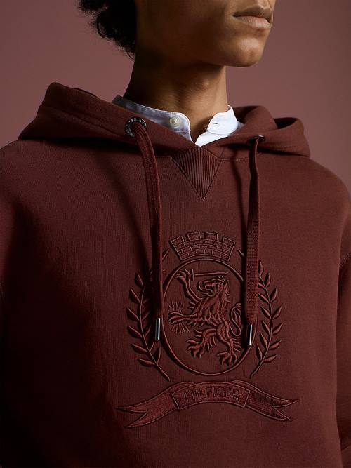 Tommy Hilfiger Crest Embroidery Organic Katoenen Hoodie Heren Bruin | TH536QEV