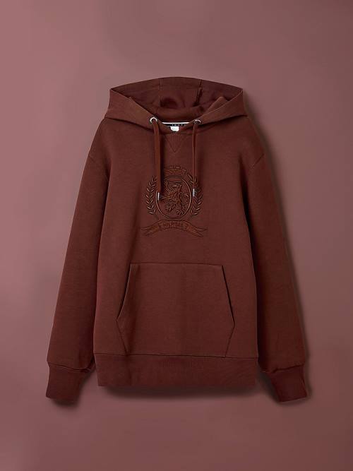 Tommy Hilfiger Crest Embroidery Organic Katoenen Hoodie Heren Bruin | TH536QEV