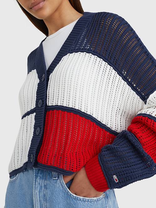 Tommy Hilfiger Cropped Colour-Blocked Cardigan Truien Dames Blauw | TH093IYM