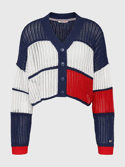 Tommy Hilfiger Cropped Colour-Blocked Cardigan Truien Dames Blauw | TH093IYM