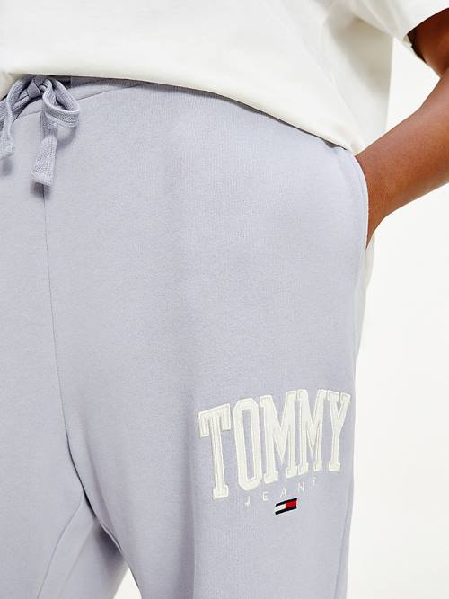 Tommy Hilfiger Curve College Tommy Badge Plush Joggers Broek Dames Paars | TH762ZWG