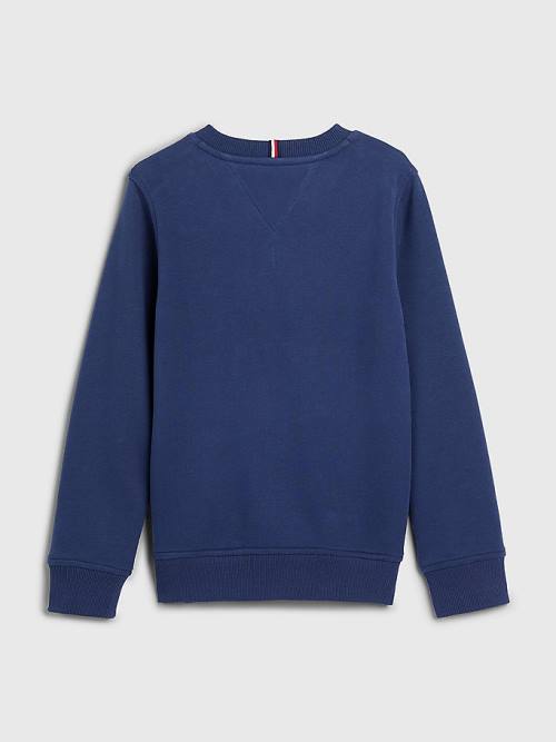 Tommy Hilfiger Embossed Banded Sweatshirts Jongens Blauw | TH806FRE