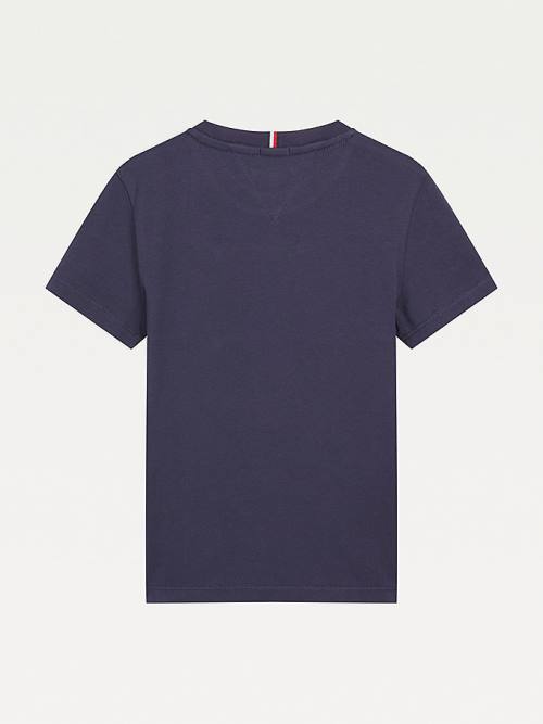 Tommy Hilfiger Essential Colour-Blocked Organic Katoenen T-shirts Jongens Grijs | TH840LTB