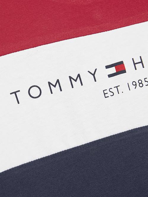 Tommy Hilfiger Essential Colour-Blocked Organic Katoenen T-shirts Jongens Blauw | TH914UAK