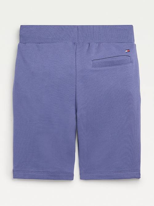 Tommy Hilfiger Essential Drawstring Sweat Shorts Broek Jongens Blauw | TH802NHS