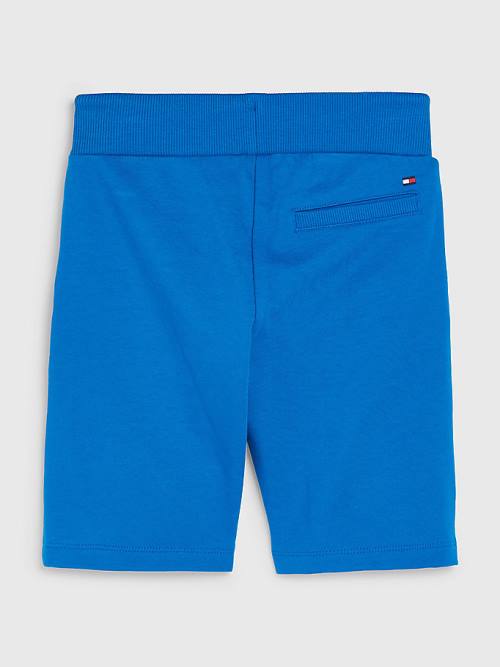 Tommy Hilfiger Essential Drawstring Sweat Shorts Broek Jongens Blauw | TH823PUN