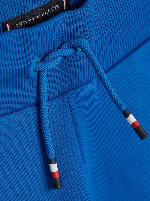 Tommy Hilfiger Essential Drawstring Sweat Shorts Broek Jongens Blauw | TH823PUN