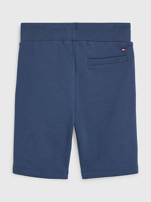 Tommy Hilfiger Essential Drawstring Sweat Shorts Broek Jongens Blauw | TH839JHC