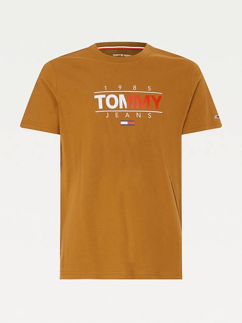 Tommy Hilfiger Essential Graphic T-shirts Heren Bruin | TH973OWP