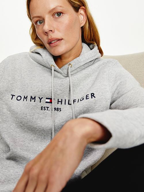 Tommy Hilfiger Essential Logo Hoodie Dames Grijs | TH431TVS