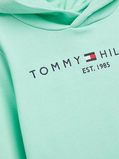 Tommy Hilfiger Essential Logo Hoodie Jongens Groen | TH072KQJ